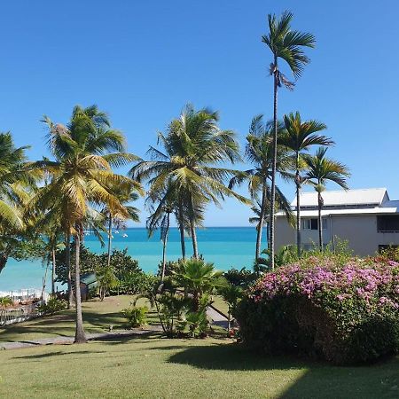 Grand Studio De 41 M², Vue Mer Et Jardin Tropical. Ле-Гозьє Екстер'єр фото