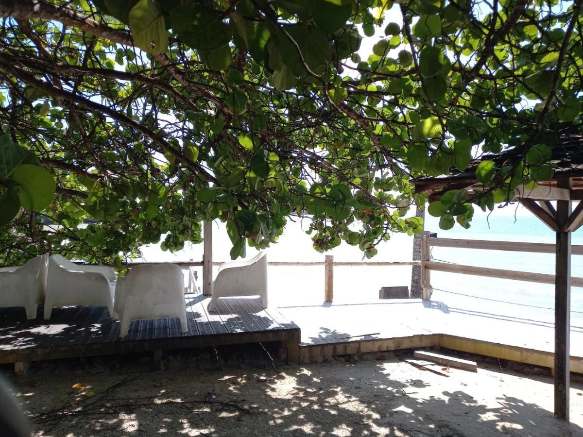 Grand Studio De 41 M², Vue Mer Et Jardin Tropical. Ле-Гозьє Екстер'єр фото